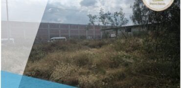 TERRENO EN VENTA ACOLMAN DE NEZAYUALCOYOTL ESTADO DE MEXICO 300 MTS